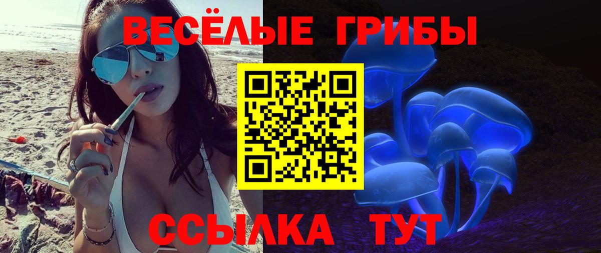 Псилоцибиновые грибы ЛСД  Вход с VPN  Славгород 